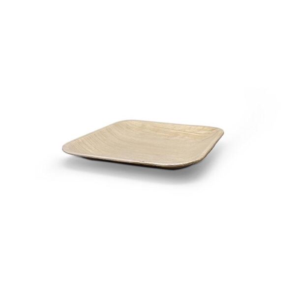 Palm SQUARE Plate 6'' V2