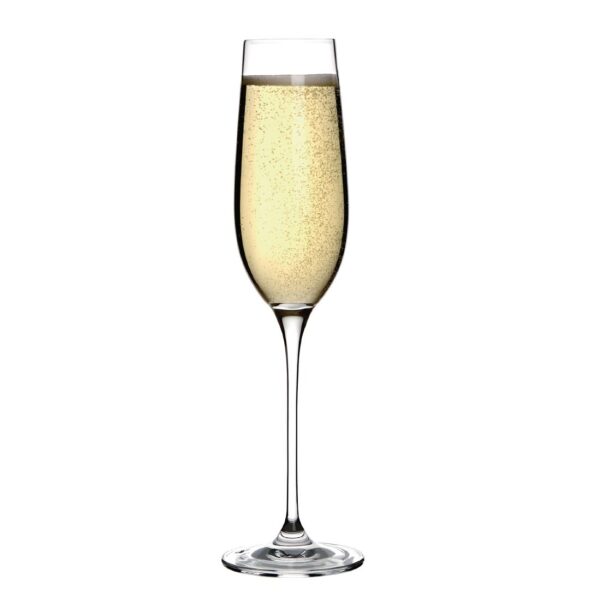 Olympia Crystal Campana Champagne Flute - 260ml 9oz (Box 6) - Image 3