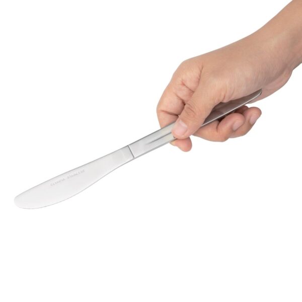 Kelso Table Knife St/St (Box 12) - Image 5
