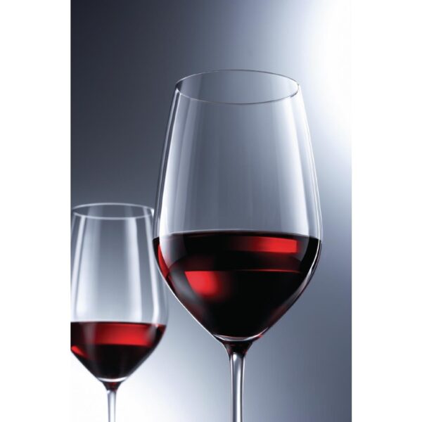Schott Zwiesel Vina Water Goblet Glass - 530ml (Box 6) - Image 2