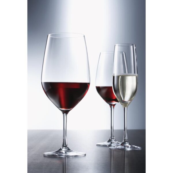 Schott Zwiesel Vina Water Goblet Glass - 530ml (Box 6) - Image 4