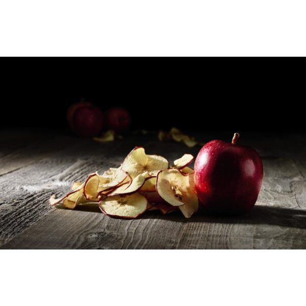Waring Commercial Dehydrator - 10 Tray - Image 4
