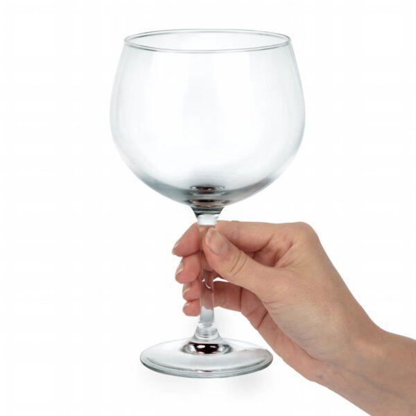 Arc Juniper Gin Cocktail Glass - 24oz (Box 6) - Image 4
