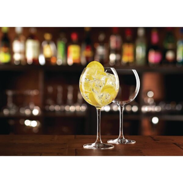 Arc Juniper Gin Cocktail Glass - 24oz (Box 6) - Image 5