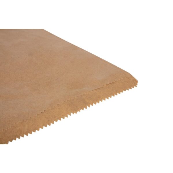 Fiesta Recyclable Large Paper Bag - 10" (Box 1000) - Image 4