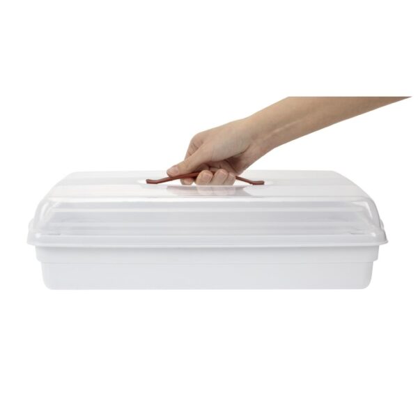 Curver Sandwich Transport Box - Image 8