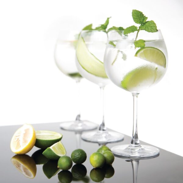 Olympia Crystal Bar Collection Gin Glass - 645ml 23oz (Box 6) - Image 4