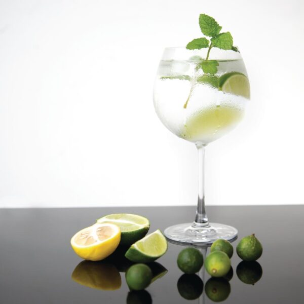 Olympia Crystal Bar Collection Gin Glass - 645ml 23oz (Box 6) - Image 6