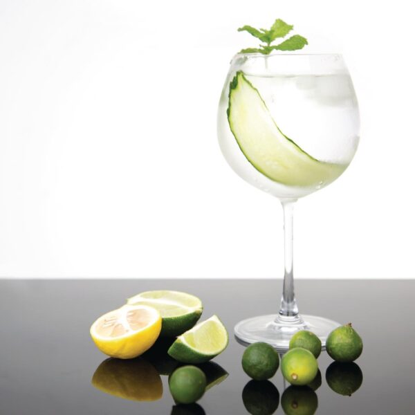 Olympia Crystal Bar Collection Gin Glass - 645ml 23oz (Box 6) - Image 7