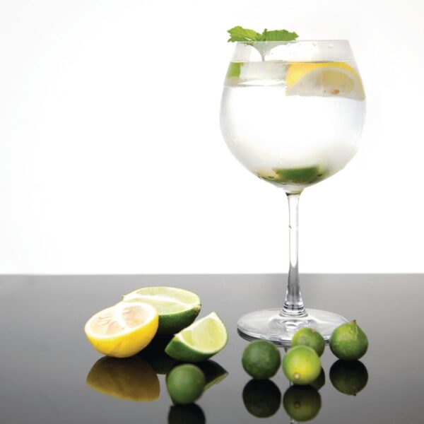 Olympia Crystal Bar Collection Gin Glass - 645ml 23oz (Box 6) - Image 8