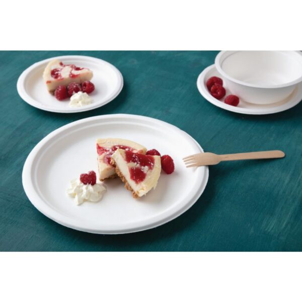 Fiesta Compostable Bagasse Round Plate 10" (Pack 50) - Image 3