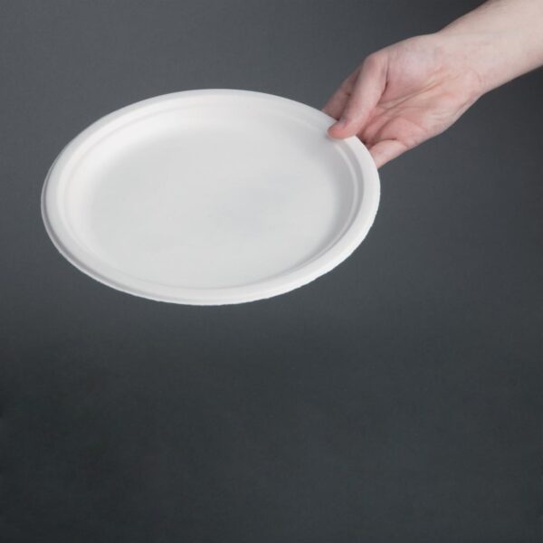 Fiesta Compostable Bagasse Round Plate 10" (Pack 50) - Image 7