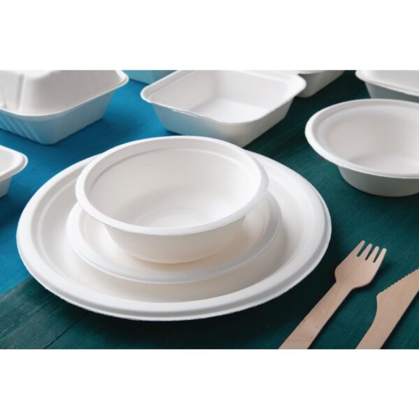 Fiesta Compostable Bagasse Round Plate 10" (Pack 50) - Image 8