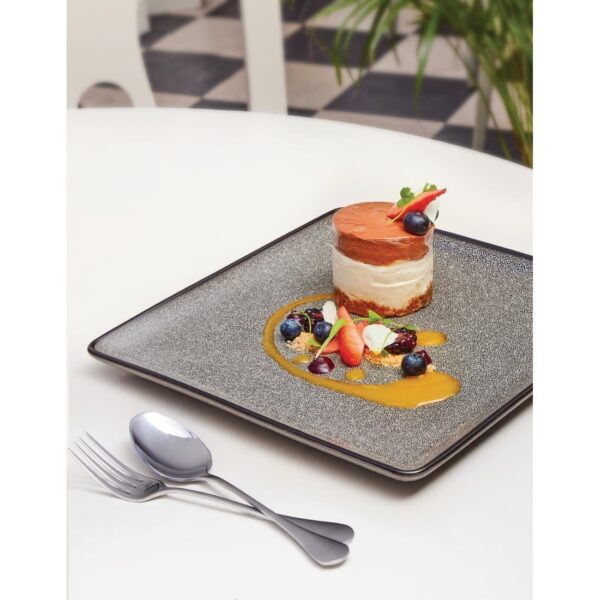 Olympia Mineral Square Plate - 268mm 10 1/2" (Box 4) - Image 3