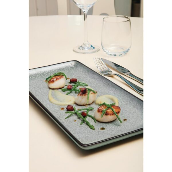 Olympia Mineral Rectangular Plate - 228x118mm 9x4 1/2" (Box 6) - Image 4