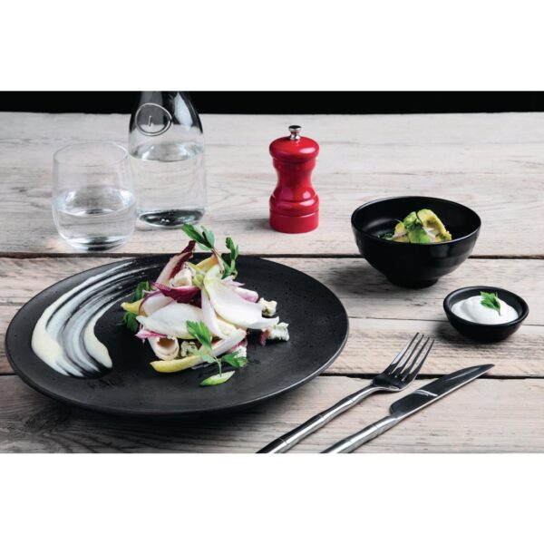 Olympia Fusion Round Coupe Plate 10.6" / 270mm (Box 4) - Image 3