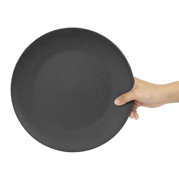 Olympia Fusion Round Coupe Plate 10.6" / 270mm (Box 4) - Image 10