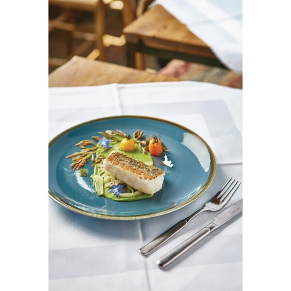 Olympia Kiln Ocean Round Coupe Plate - 280mm 11" (Box 4) - Image 10