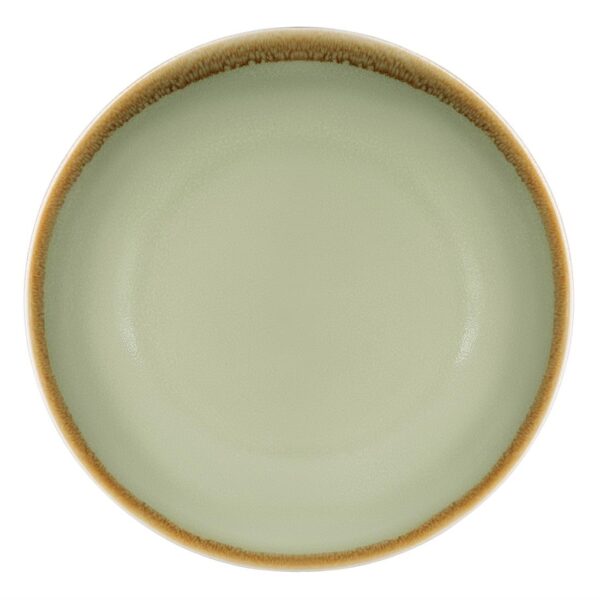 Olympia Kiln Moss Coupe Plate - 228mm 9" (Box 6)