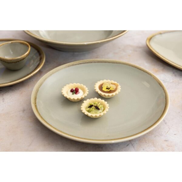 Olympia Kiln Moss Coupe Plate - 228mm 9" (Box 6) - Image 10