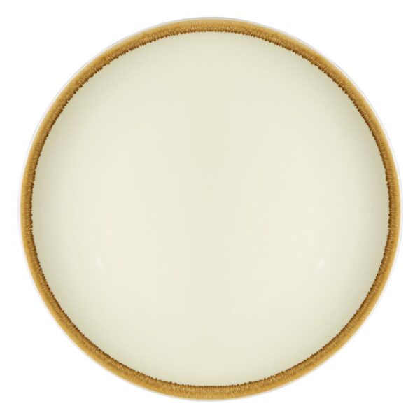Olympia Kiln Sandstone Coupe Plate - 228mm 9" (Box 6)