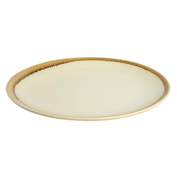 Olympia Kiln Sandstone Coupe Plate - 228mm 9" (Box 6) - Image 4