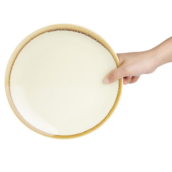 Olympia Kiln Sandstone Coupe Plate - 228mm 9" (Box 6) - Image 6