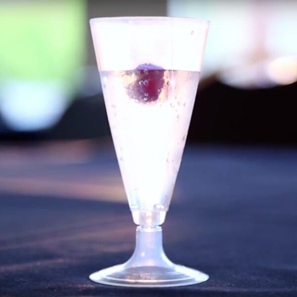 Biodegradable Champagne Flute - 120ml