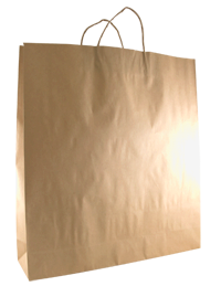 Kraft Large Paper Bag - Brown