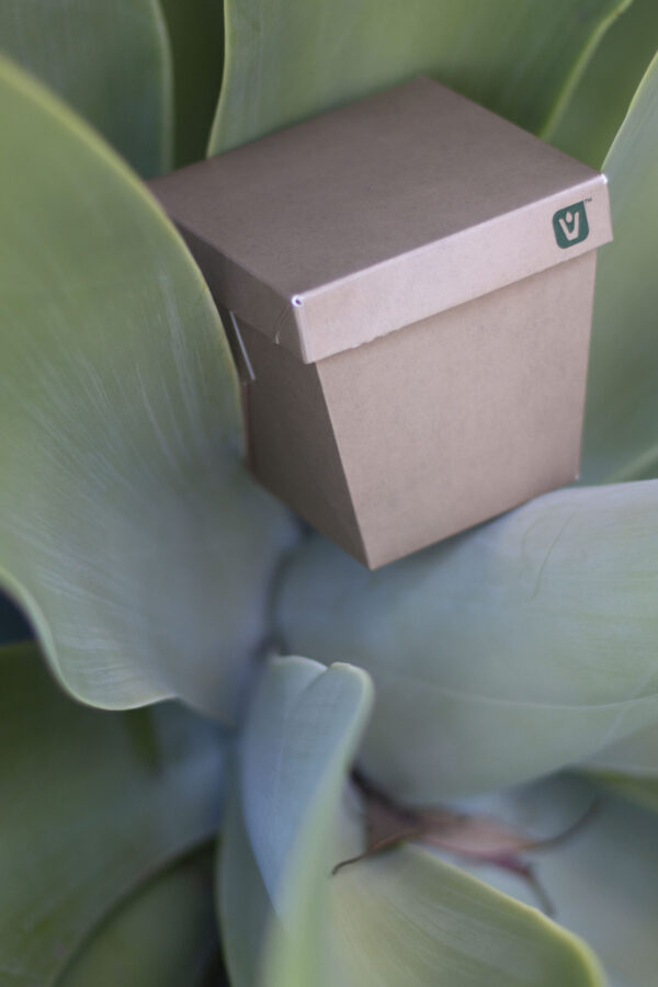 Never Leak Takeaway Containers