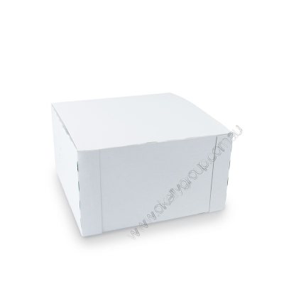 Cake Box W/Lined 230mm