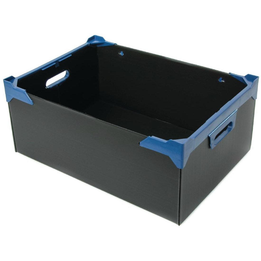 Glasses Jack 24 Sections